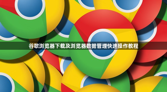 谷歌浏览器下载及浏览器数据管理快速操作教程1