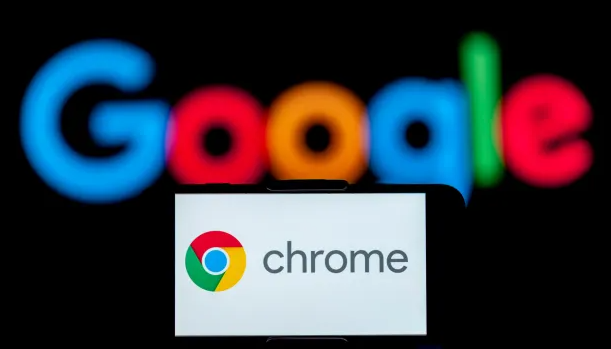 google浏览器下载包获取与安装操作