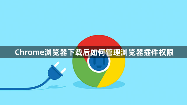 Chrome浏览器下载后如何管理浏览器插件权限1