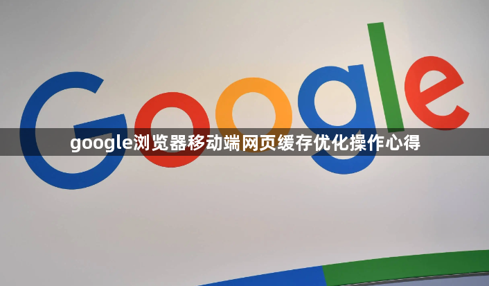 google浏览器移动端网页缓存优化操作心得1