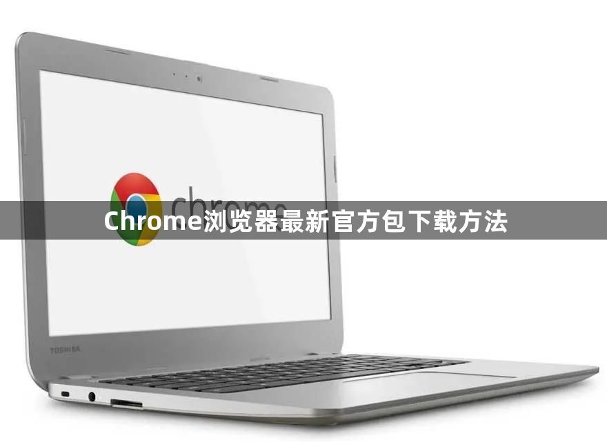 Chrome浏览器最新官方包下载方法1