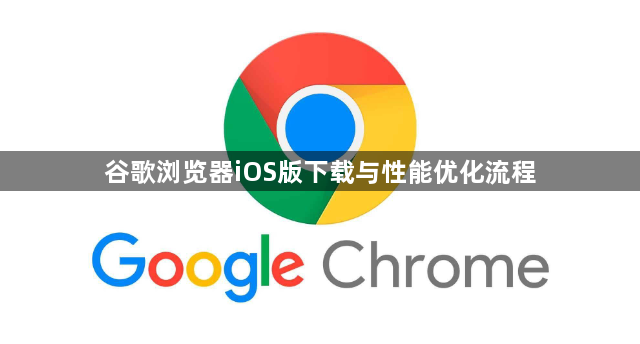 谷歌浏览器iOS版下载与性能优化流程1