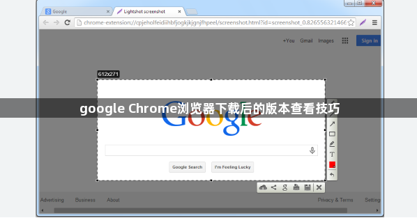 google Chrome浏览器下载后的版本查看技巧1
