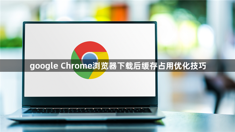 google Chrome浏览器下载后缓存占用优化技巧1