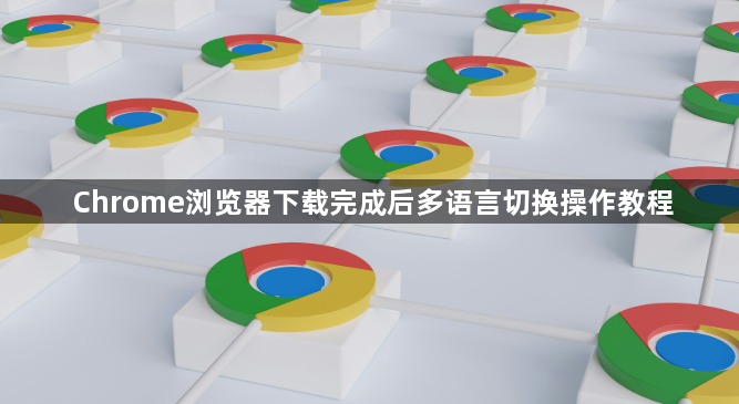 Chrome浏览器下载完成后多语言切换操作教程1