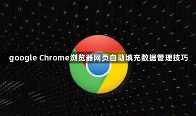 google Chrome浏览器网页自动填充数据管理技巧1