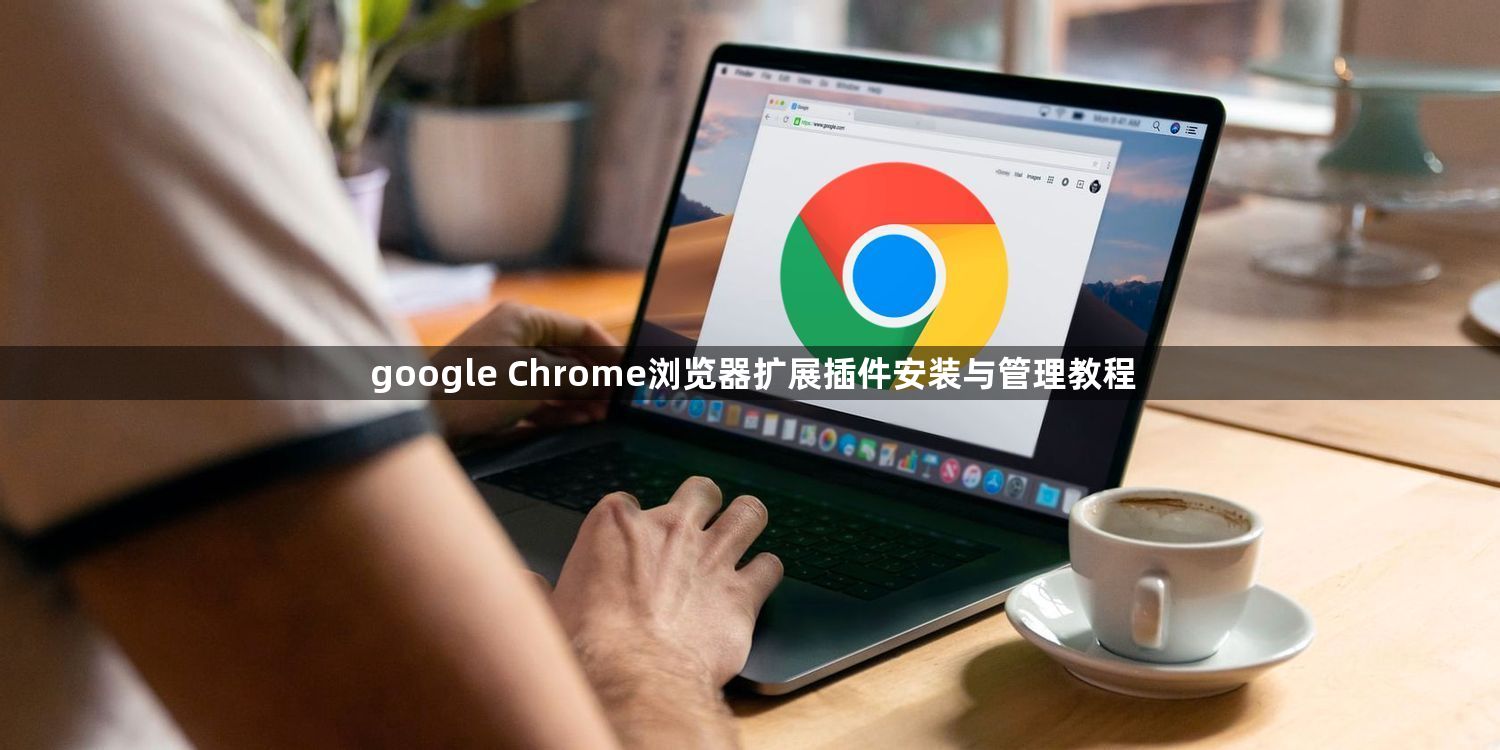 google Chrome浏览器扩展插件安装与管理教程1