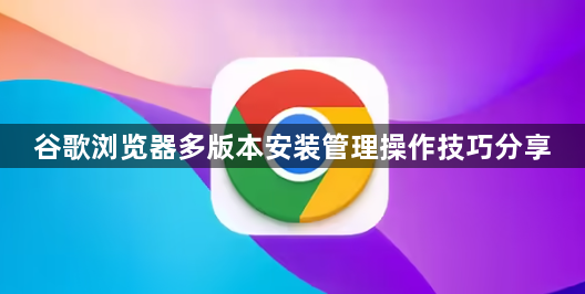 谷歌浏览器多版本安装管理操作技巧分享1