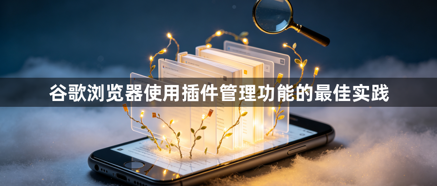 谷歌浏览器使用插件管理功能的最佳实践1