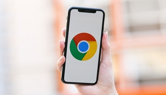Chrome浏览器插件更新与功能操作指南